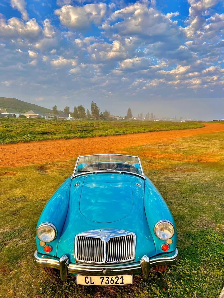 Front view of the MGA against an open sky